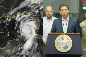 Desanitis Idalia.png