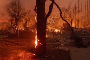  Incendio Kenneth: Fuego amenaza Calabasas, Hidden Hills y Oak Park