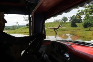 Hacienda Nápoles Pablo Escobar