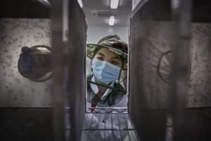 salud virus zika factoria china