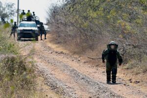 MEXICO-US-VIOLENCE-AVOCADO