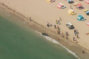 No merma la llegada de cubanos a las costas de Florida