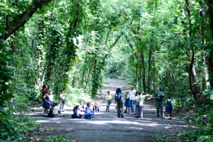 Bosque Estatal Nuevo Milenio - Parques Nacionales de Puerto Rico