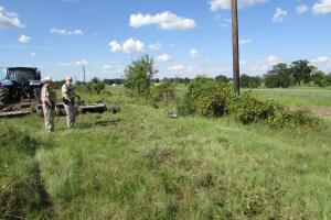 Los restos de una niña, de entre 3 y 5 años, aparecieron dentro de una maleta negra en un pastizal del condado Madison en Texas.