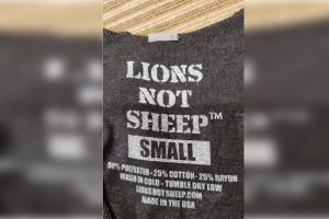 lions not sheep promo