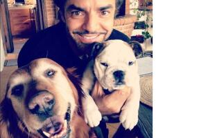 Eugenio Derbez y sus perros 