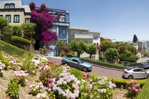 Lombard Street San Francisco