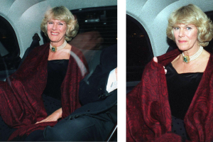 camilla-parker-bowles-vestido-venganza.png