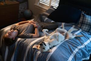 perro-perdido.jpg