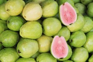 guayaba.jpg