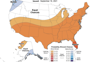 temperature-conditions December 2021