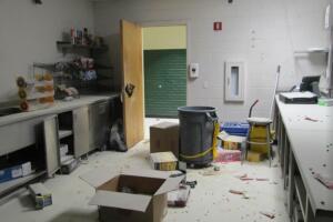 Sunny slope /sunnyyy.jpg