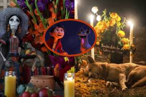 Día de Muertos también contempla a las mascotas.