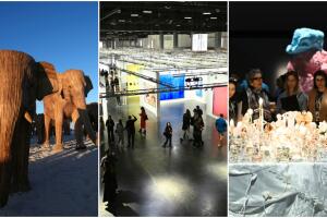 Art Basel Miami 2024