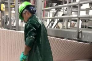 menor trabajo planta procesadora