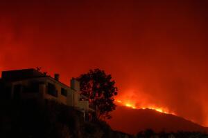 AP24345387603765 (1).jpg