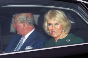 Príncipes William, Carlos, Harry, Meghan, Kate, Camilla, George