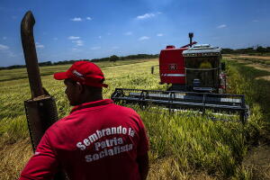 rice at a state-run farm in the state of Guarico, Venezuela, on Saturday, April 12, 2014. 