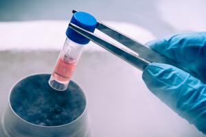 Manipulación de células madre