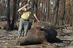 Bushfires Burn Across Victoria