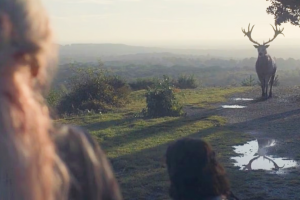 Ciervo Blanco house of the dragon 3.png