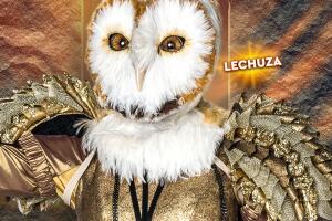 Lechuza.jpg
