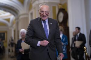 Chuck Schumer senate vote 
