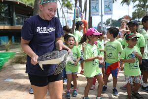 Regresan a su hábitat cinco tortugas de mar rescatadas en playas del sur de Florida