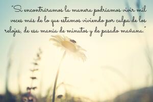 frases-cortazar-1.jpg