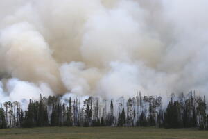 Wild Fire In Southern Utah Forces Evacuations