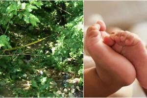 bebe muerta el bronx nueva york