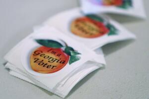 Voters Go To The Polls In GA 6th Congressional District Race