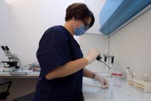 Proceso de congelar óvulos