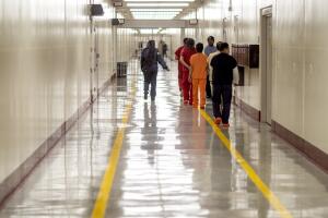 Immigration Courts
