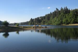 2. Lake_Gregory.jpeg