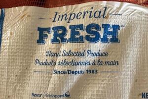 Galería cebollas/Image 7_16.jpg