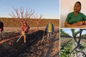 Para enfrentar la sequía y disminuir la pobreza en el sector del campo, el proyecto de ley 1066 proporcionará 20 millones de dólares a programa piloto.