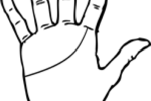 96740.jpg