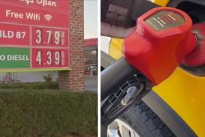 gasolina nc.jpg