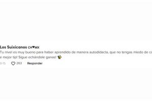 Usuarios de TikTok opinan de la mexicana que da consejos para aprender inglés a latinos.jpg