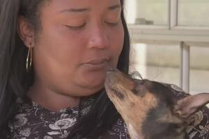 El emotivo reencuentro entre una migrante venezolana y su perro tras ser separados en la frontera.