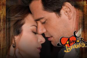 Amor Bravio Show Art