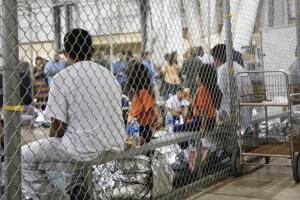 Immigration Law
