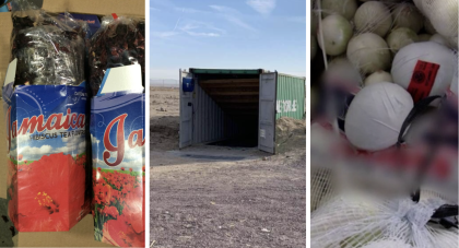 Los decomisos de drogas más isólitos en la historia de California. Desde narco cebollas, hasta un narcobúnker.