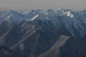 OLYMPIC NATIONAL PARK.jpg