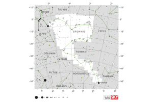 estrella.png