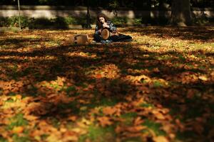 Los últimos rastros del otoño en NYC