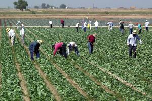 IMPERIAL VALLEY