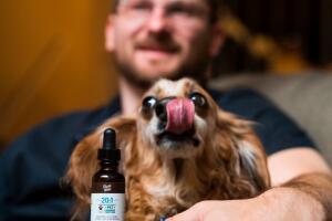 Marihuana en California