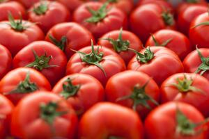 Tomatos background